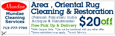 Area, Oriental Rug Cleaning & Restoration