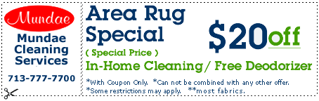 Area Rug Special