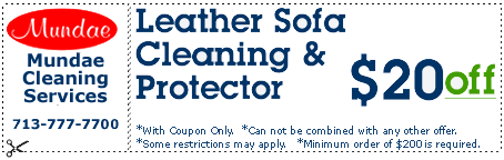 Leather Sofa Cleaning & Protector