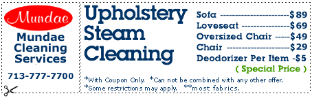 Upholstery Steam Cleaning
