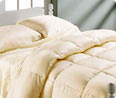 Mattress Cleaning