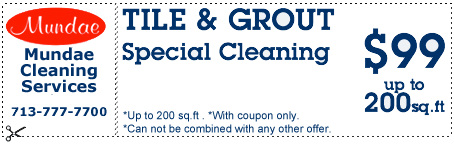 Tile & Grout Special Cleaning